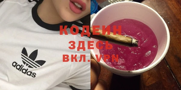 ECSTASY Алзамай