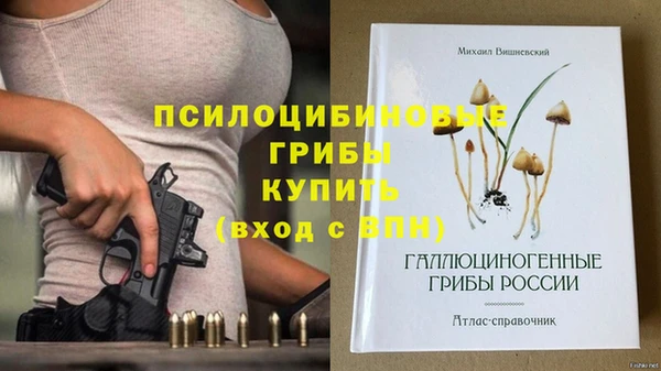 ECSTASY Алзамай