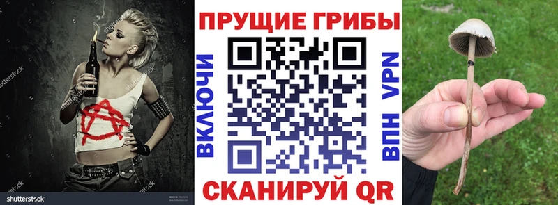 blacksprut ссылки  Сосновый Бор  нарко площадка телеграм  Псилоцибиновые грибы Psilocybe 
